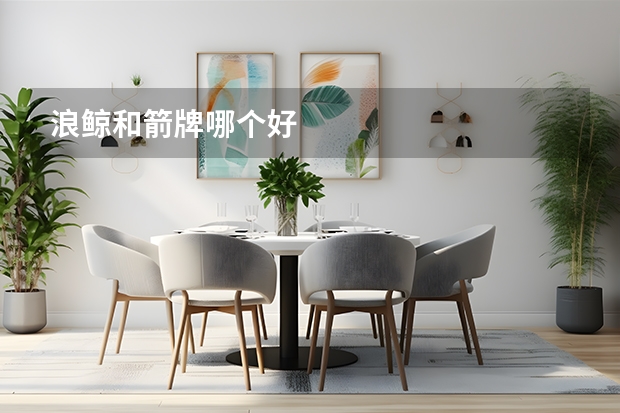 浪鲸和箭牌哪个好