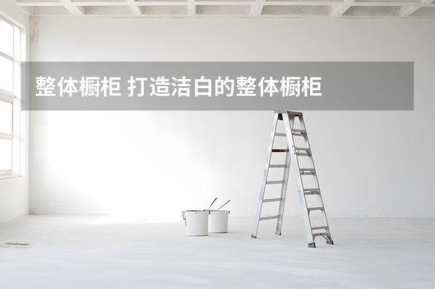 整体橱柜 打造洁白的整体橱柜