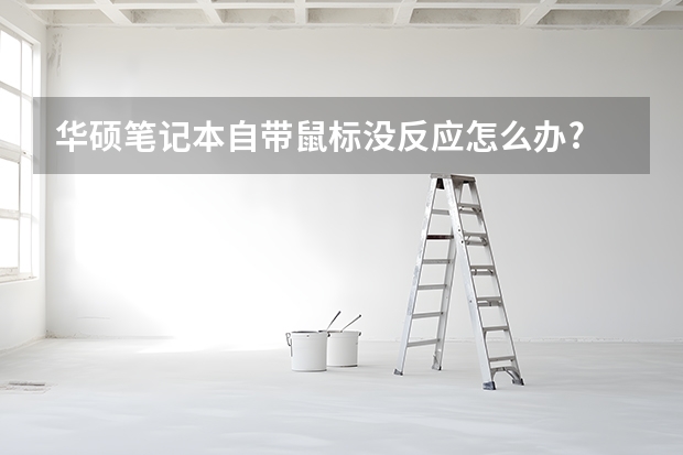 华硕笔记本自带鼠标没反应怎么办?