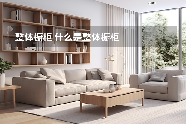整体橱柜 什么是整体橱柜