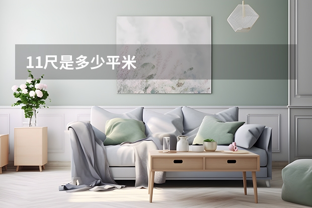 11尺是多少平米