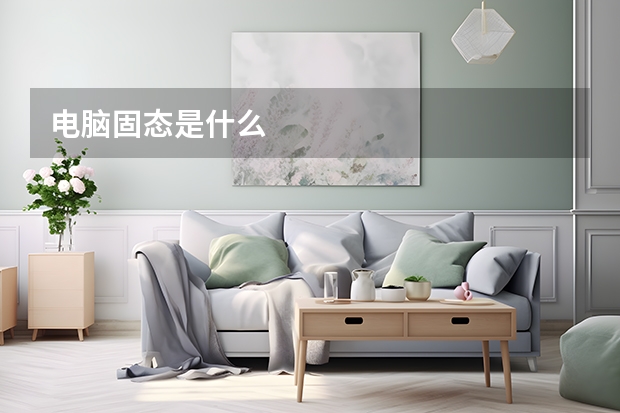 电脑固态是什么