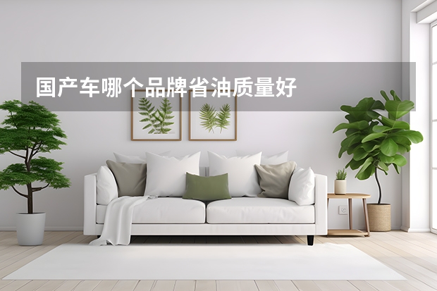 国产车哪个品牌省油质量好