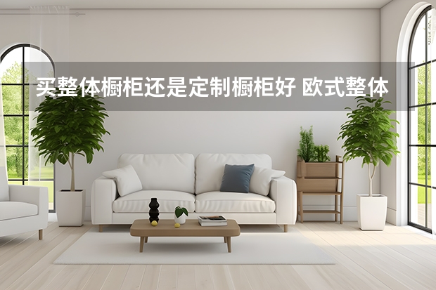 买整体橱柜还是定制橱柜好 欧式整体橱柜效果图