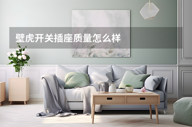 壁虎开关插座质量怎么样