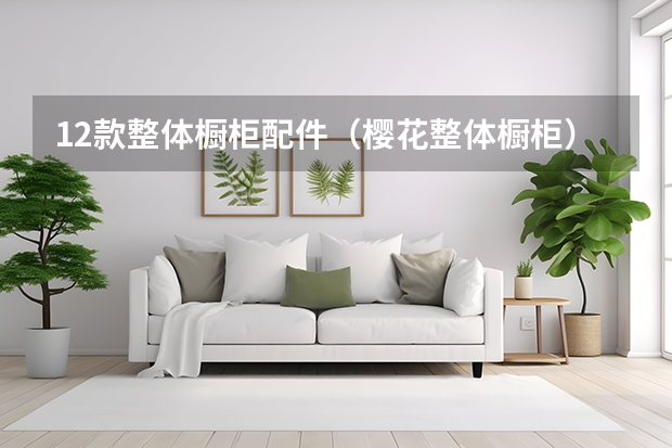12款整体橱柜配件（樱花整体橱柜）