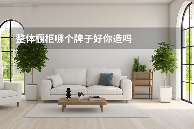 整体橱柜哪个牌子好你造吗