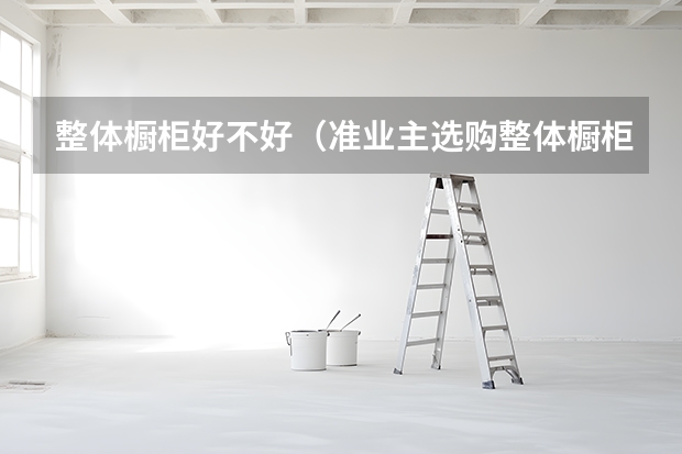 整体橱柜好不好（准业主选购整体橱柜不可忽视的细节）