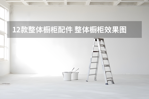 12款整体橱柜配件 整体橱柜效果图