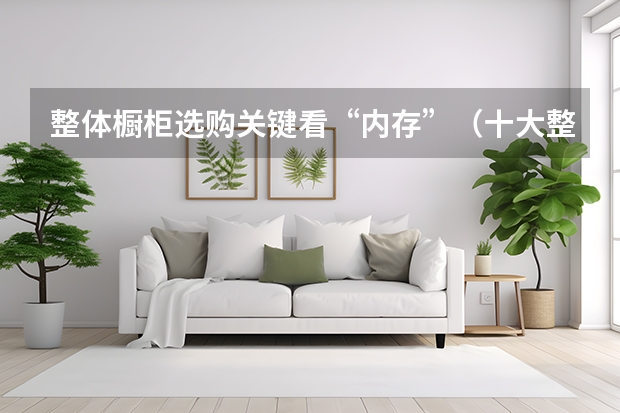 整体橱柜选购关键看“内存”（十大整体橱柜）