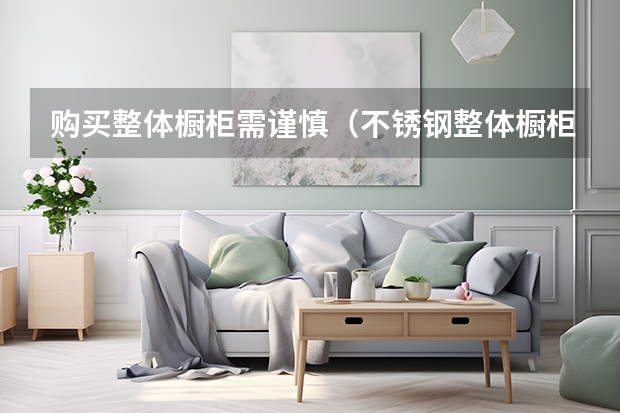 购买整体橱柜需谨慎（不锈钢整体橱柜）