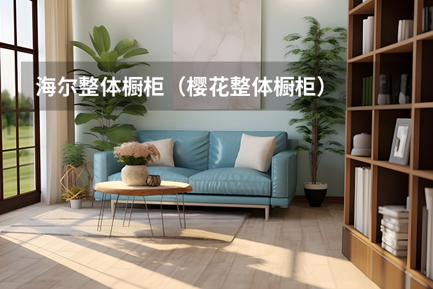 海尔整体橱柜（樱花整体橱柜）