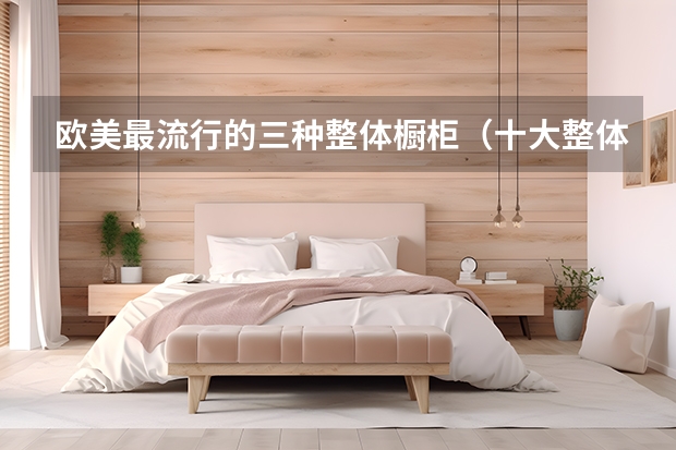 欧美最流行的三种整体橱柜（十大整体橱柜排名前十）