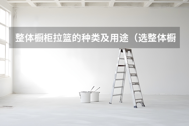 整体橱柜拉篮的种类及用途（选整体橱柜不要只关心价格款式）