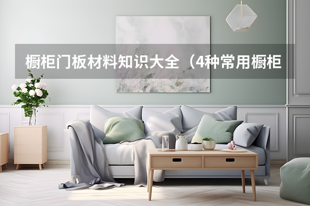 橱柜门板材料知识大全（4种常用橱柜门板的挑选要点）