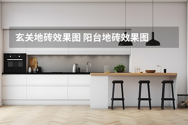 玄关地砖效果图 阳台地砖效果图