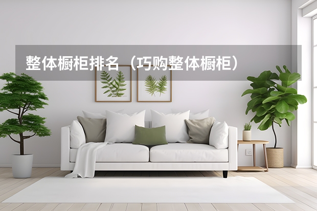 整体橱柜排名（巧购整体橱柜）