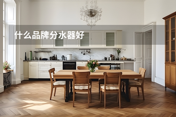 什么品牌分水器好