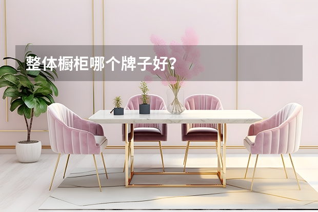 整体橱柜哪个牌子好？