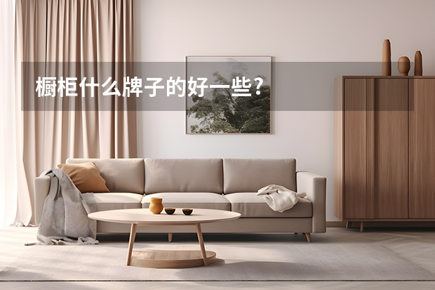 橱柜什么牌子的好一些?