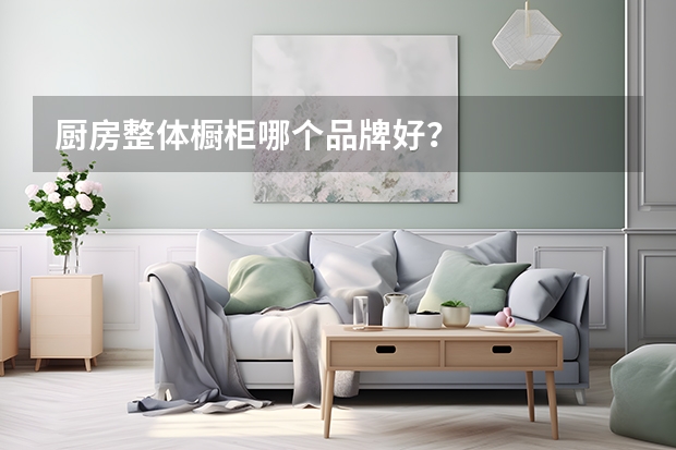 厨房整体橱柜哪个品牌好？