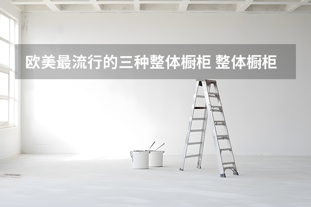 欧美最流行的三种整体橱柜 整体橱柜品牌