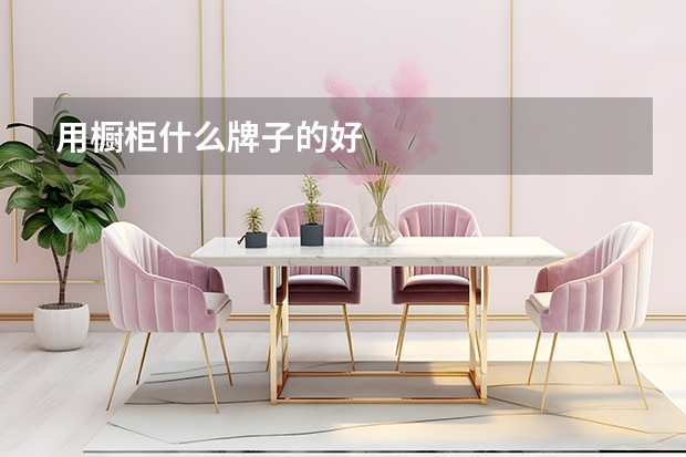用橱柜什么牌子的好