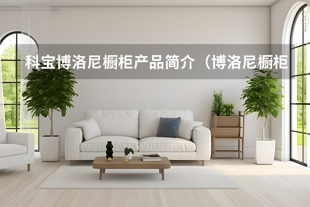 科宝博洛尼橱柜产品简介（博洛尼橱柜的公司介绍）