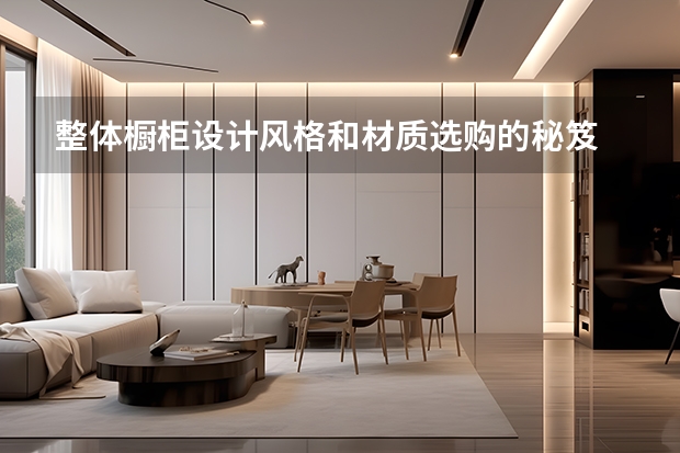 整体橱柜设计风格和材质选购的秘笈 整体橱柜拉篮