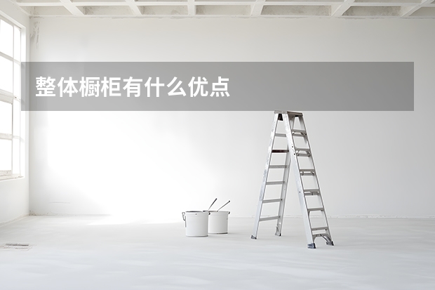 整体橱柜有什么优点