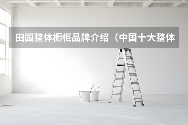 田园整体橱柜品牌介绍（中国十大整体橱柜）