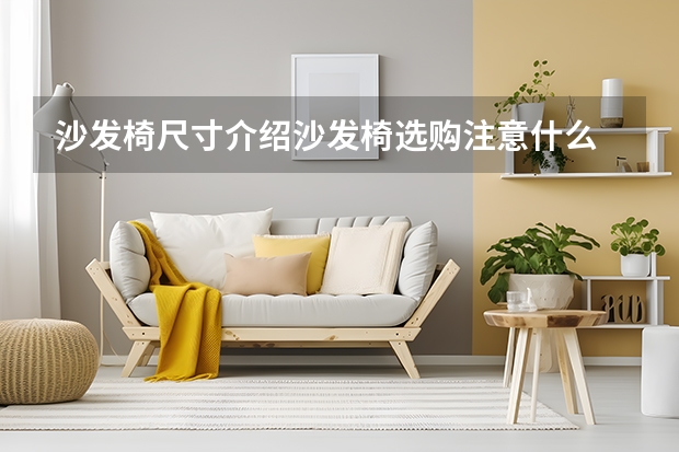 沙发椅尺寸介绍沙发椅选购注意什么