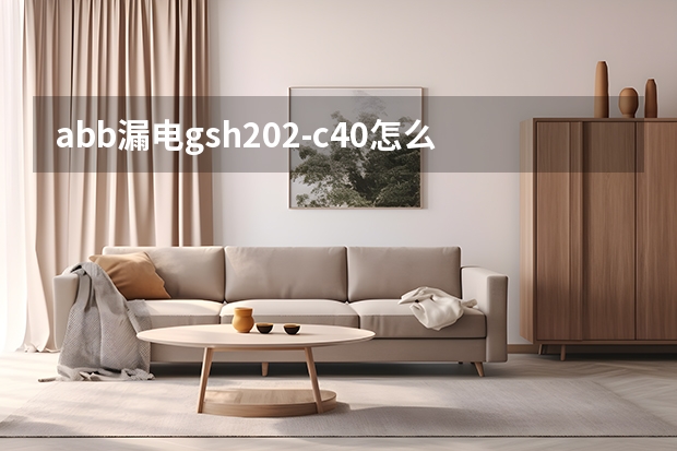 abb漏电gsh202c40怎么接线