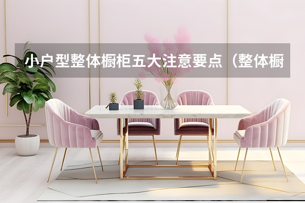 小户型整体橱柜五大注意要点（整体橱柜台面材料）
