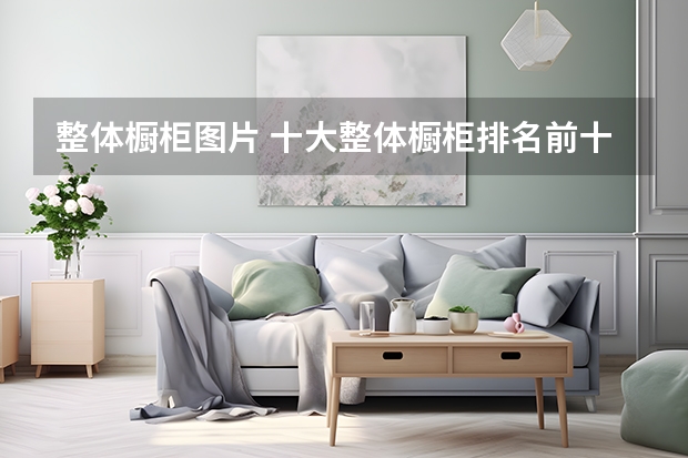 整体橱柜图片 十大整体橱柜排名前十