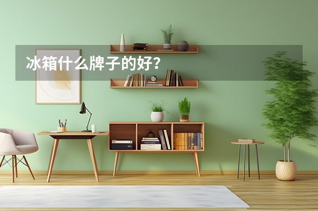 冰箱什么牌子的好？