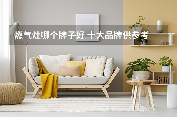 燃气灶哪个牌子好 十大品牌供参考
