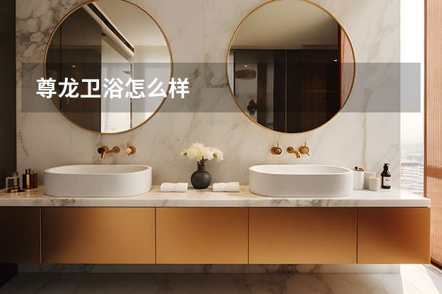 尊龙卫浴怎么样