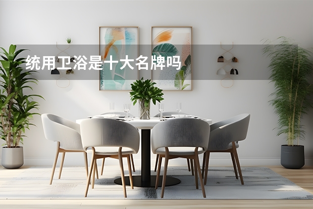 统用卫浴是十大名牌吗
