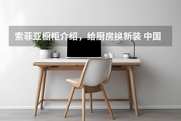 索菲亚橱柜介绍，给厨房换新装 中国十大整体橱柜排名