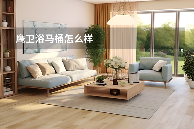 鹰卫浴马桶怎么样