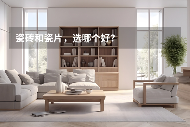 瓷砖和瓷片，选哪个好？