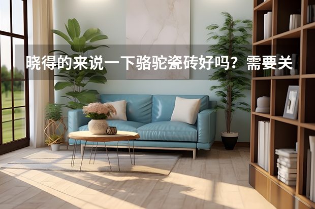 晓得的来说一下骆驼瓷砖好吗?需要关注哪些点