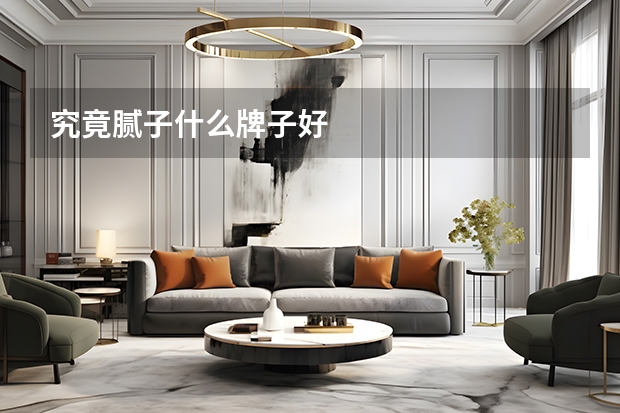 究竟腻子什么牌子好