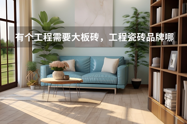 有个工程需要大板砖，工程瓷砖品牌哪个好，懂行的说说？