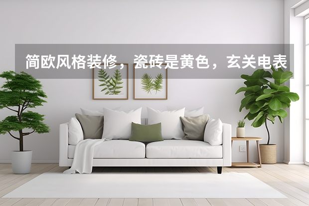简欧风格装修,瓷砖是黄色,玄关电表箱配什么花的装饰画好看?