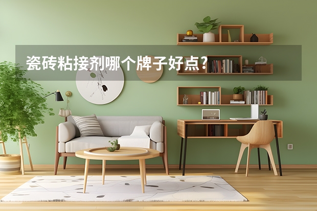 瓷砖粘接剂哪个牌子好点?