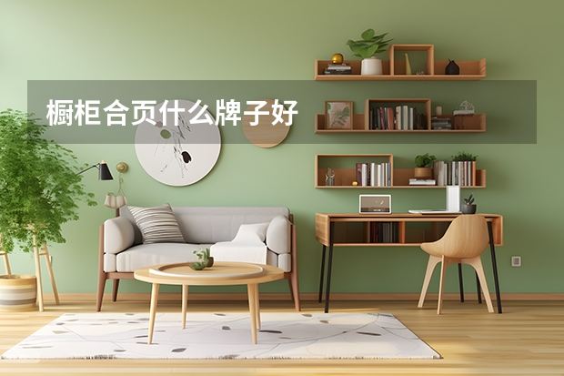 橱柜合页什么牌子好