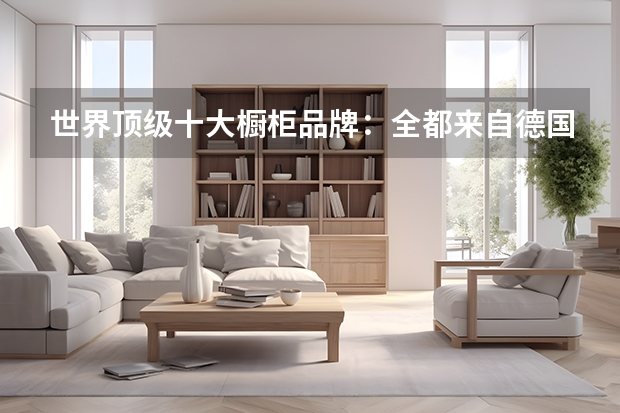 世界顶级十大橱柜品牌：全都来自德国意大利，BERLONI第二（不锈钢橱柜十大名牌）