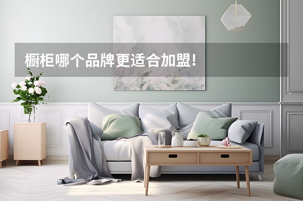 橱柜哪个品牌更适合加盟!